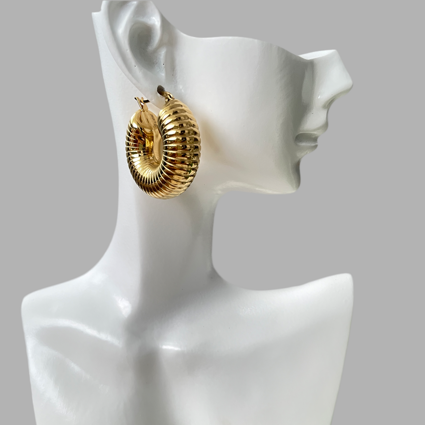 Hoop Earrings