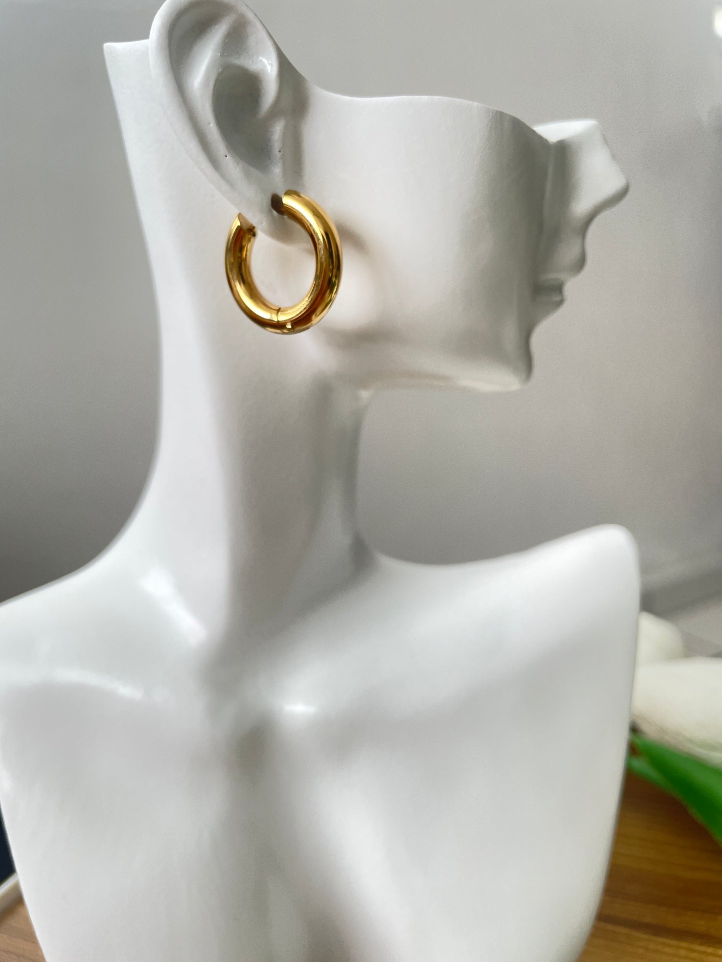 Hoop Earrings